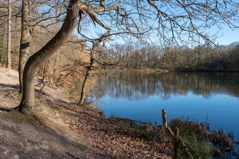 meudon la foret