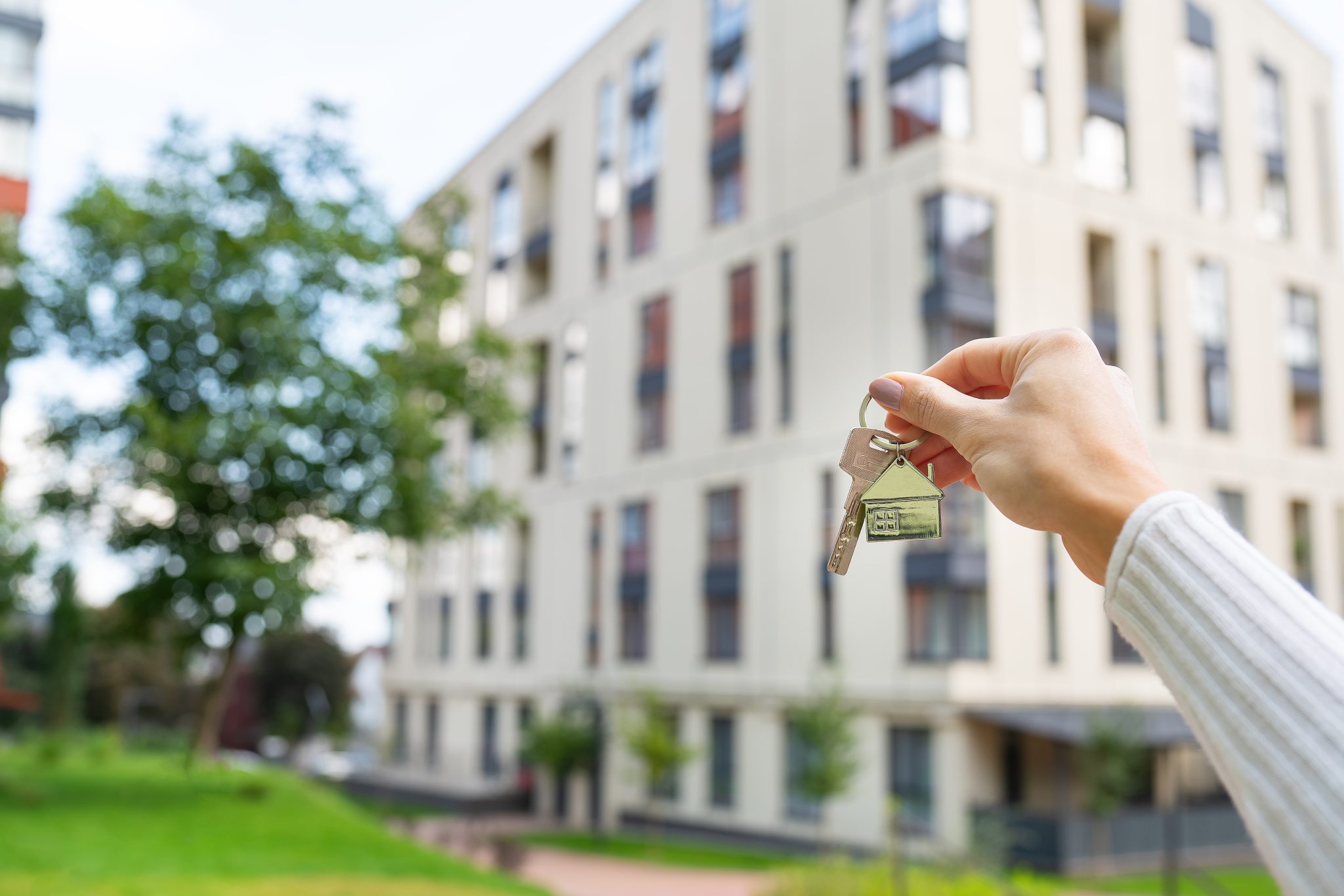 achat immobilier neuf